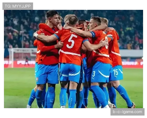 捷克防守稳健 捷克防守稳健